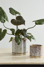 Load image into Gallery viewer, Avenell Pot