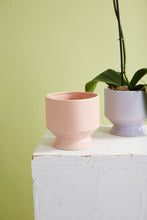 Load image into Gallery viewer, Pasadena Pot l Blush