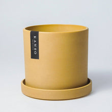 Load image into Gallery viewer, Dusted Planter | Mustard Seed