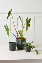 Load image into Gallery viewer, Carmen Pot | Dark Green