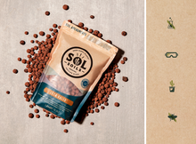 Load image into Gallery viewer, LECA Balls