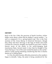 Load image into Gallery viewer, Killer Plants