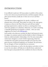 Load image into Gallery viewer, Plant