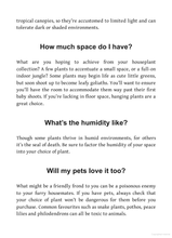 Load image into Gallery viewer, The Little Book for Plant Parents