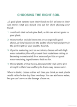 Load image into Gallery viewer, The Little Book for Plant Parents