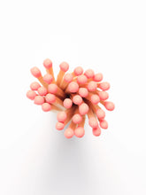 Load image into Gallery viewer, Full Of Fire Matches