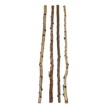 Load image into Gallery viewer, Birch Branch