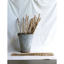 Load image into Gallery viewer, Birch Branch