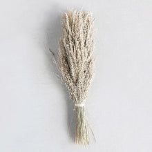 Load image into Gallery viewer, Dried Natural Star Grass Bunch