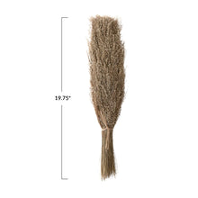 Load image into Gallery viewer, Dried Natural Star Grass Bunch