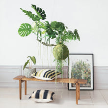 Load image into Gallery viewer, Fern Wood Framed Print