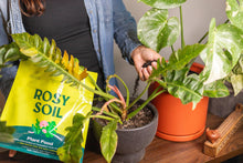 Load image into Gallery viewer, Organic Plant Food