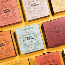 Load image into Gallery viewer, Pomegranate Peach Lip Care Duo