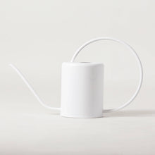 Load image into Gallery viewer, Stainless Steel Watering Can