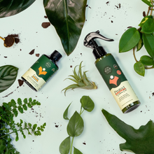 Load image into Gallery viewer, Proud Plant Parent Kit