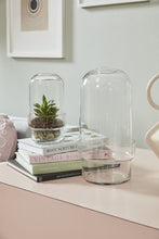 Load image into Gallery viewer, Griffith Terrarium