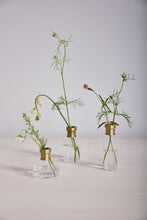 Load image into Gallery viewer, Jimmy Budvase