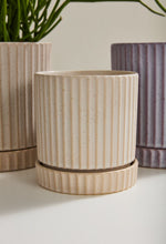 Load image into Gallery viewer, Los Feliz Pot