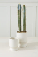 Load image into Gallery viewer, Madison Pot | White
