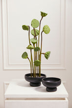 Load image into Gallery viewer, Nightingale Compote