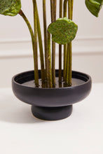 Load image into Gallery viewer, Nightingale Compote