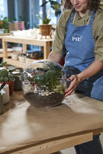 Load image into Gallery viewer, Observatory Terrarium