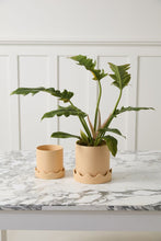 Load image into Gallery viewer, Pissaro Pot | Peach