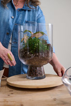 Load image into Gallery viewer, Reservoir Terrarium