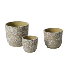 Load image into Gallery viewer, Verde Pot Collection