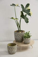 Load image into Gallery viewer, Verde Pot Collection