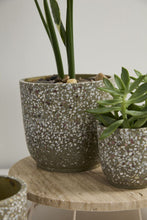 Load image into Gallery viewer, Verde Pot Collection