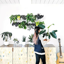 Load image into Gallery viewer, Wally Eco | White