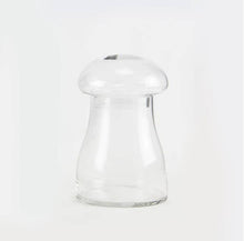 Load image into Gallery viewer, Glass Mushroom Terrarium

