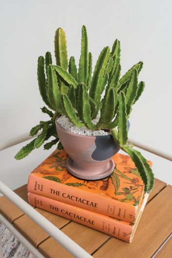 Deco Pebbles – Botanical Dwellings