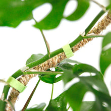 Load image into Gallery viewer, Bendable Coir Pole
