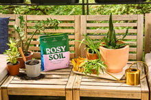Load image into Gallery viewer, Organic Potting Soil