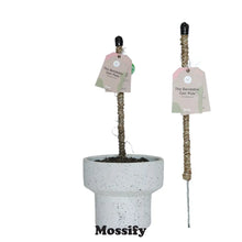 Load image into Gallery viewer, Bendable Coir Pole