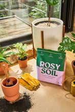 Load image into Gallery viewer, Organic Potting Soil