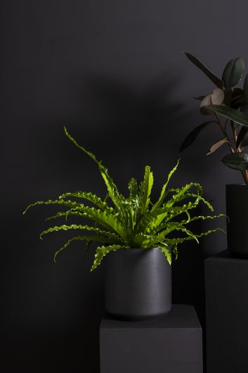 kendall plant pot Kendall Pot