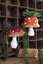 Load image into Gallery viewer, Floating Mushroom Planter
