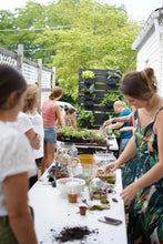 Load image into Gallery viewer, Terrarium Workshop