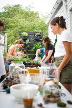 Load image into Gallery viewer, Terrarium Workshop