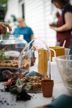 Load image into Gallery viewer, Terrarium Workshop
