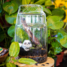 Load image into Gallery viewer, Terror-arium Workshop