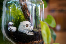 Load image into Gallery viewer, Terror-arium Workshop