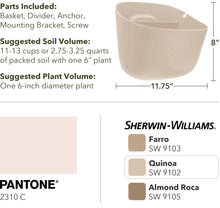 Load image into Gallery viewer, Wally Eco | Oat