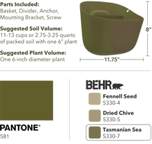 Load image into Gallery viewer, Wally Eco | Olive