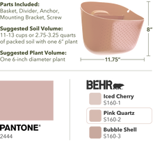 Load image into Gallery viewer, Wally Eco | Rose