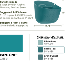 Load image into Gallery viewer, Wally Eco | Teal