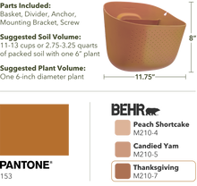 Load image into Gallery viewer, Wally Eco | Terracotta